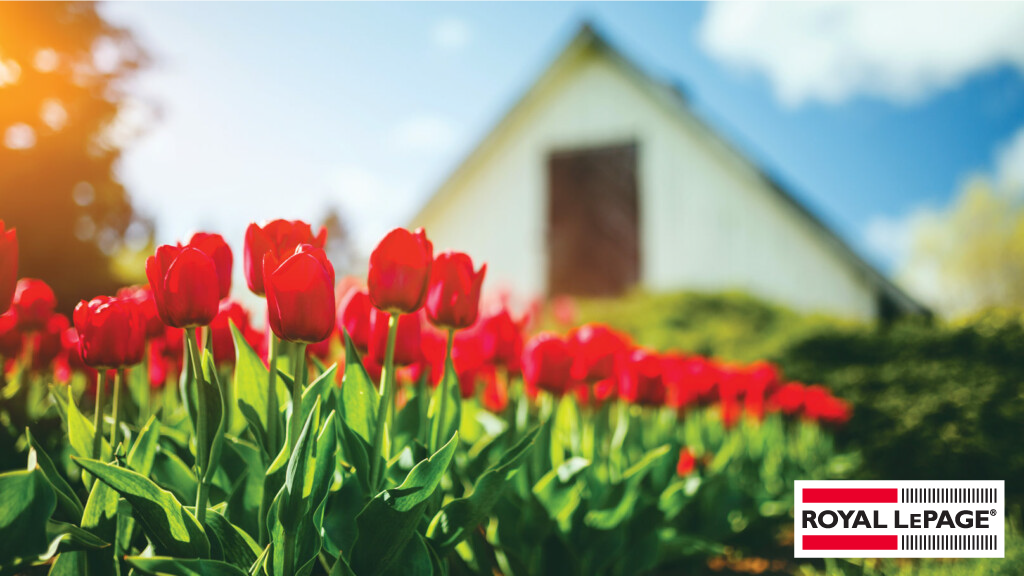 Rates, regulations and renewed demand driving housing market activity